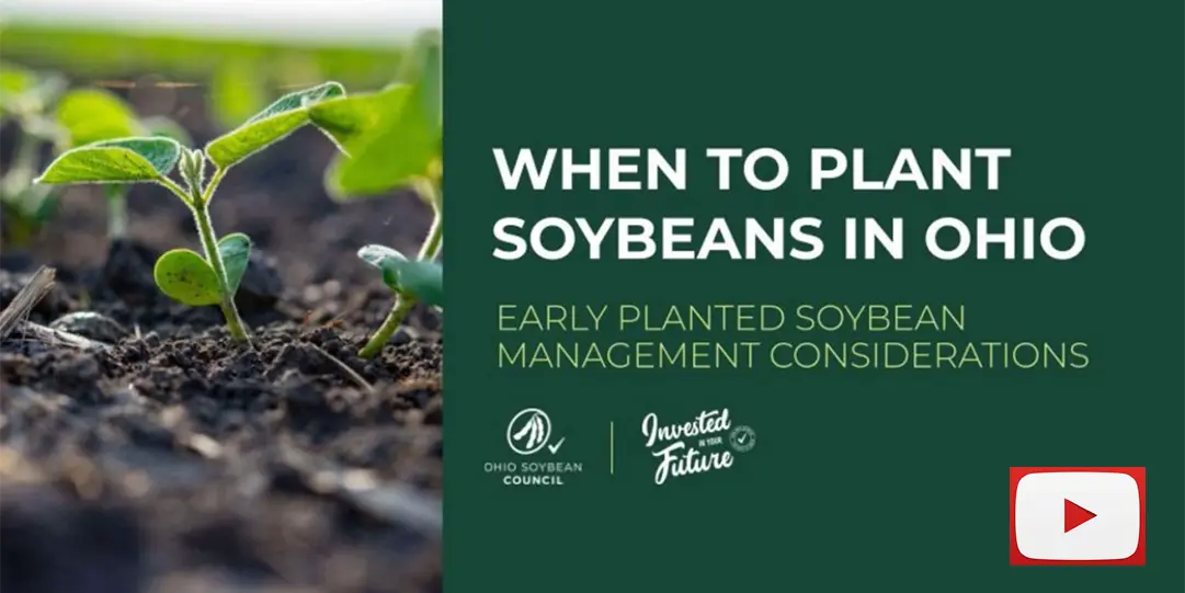 When-To-Export-Soybeans-In-Ohio